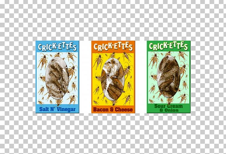 Insect Cricket Flour Food Lollipop PNG, Clipart, Animals, Candy, Cricket, Cricket Flour, Eating Free PNG Download