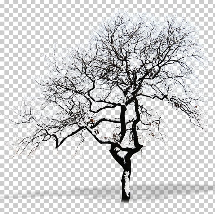 Snow Tree Branch PNG, Clipart, Black And White, Branch, Christmas Tree, Computer Wallpaper, Dead Vector Free PNG Download