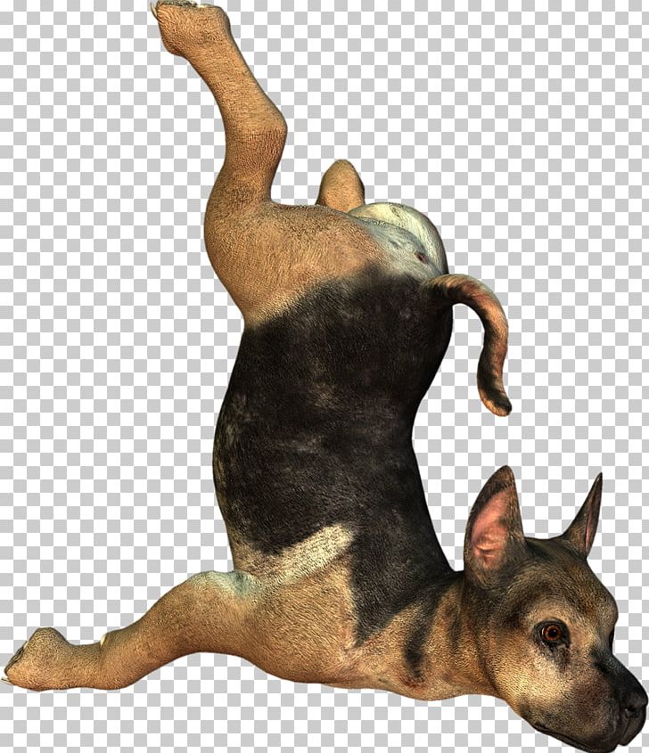 Dog Puppy 3D Computer Graphics PNG, Clipart, 3d Animation, 3d Arrows, 3d  Computer Graphics, 3d Dog,