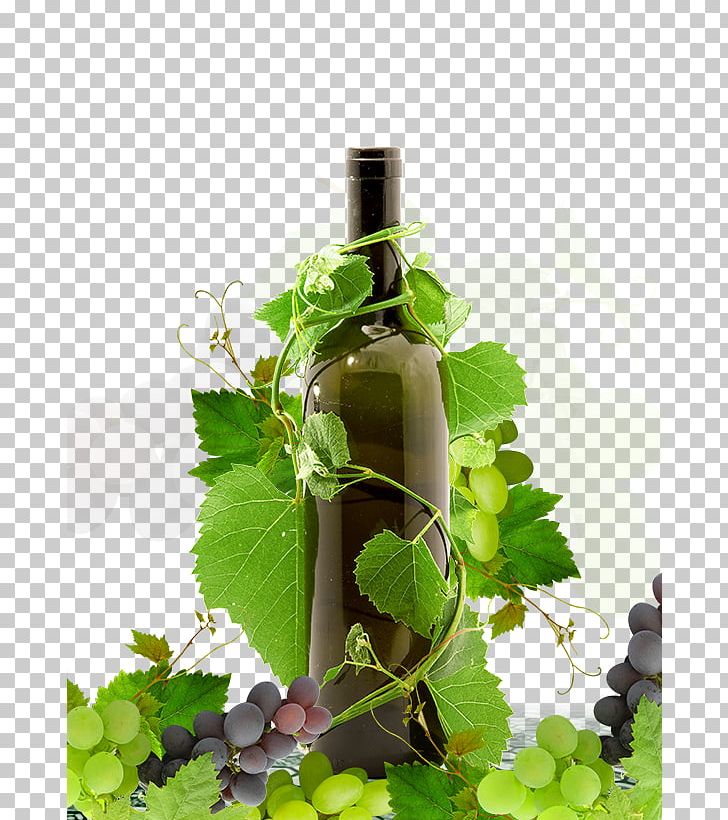 Red Wine Grape PNG, Clipart, Advertising, Alcoholic Drink, Bottle, Champagne, Common Grape Vine Free PNG Download