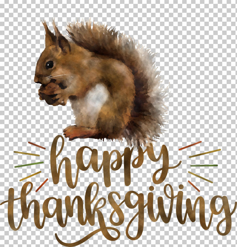 Happy Thanksgiving Thanksgiving Day Thanksgiving PNG, Clipart, Chipmunks, Fur, Happy Thanksgiving, Meter, Science Free PNG Download