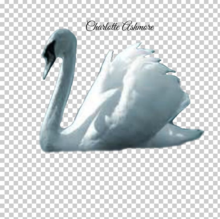 Cygnini Bird Crane Duck Goose PNG, Clipart, Anatidae, Animals, Beak, Bird, Crane Free PNG Download