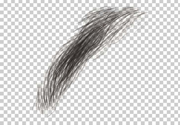 Eyebrow Eyelash Hair PNG, Clipart, Artificial Hair Integrations, Black, Black And White, Brush, Color Free PNG Download