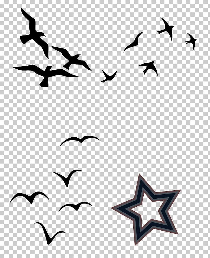 Bird YouTube Drawing PNG, Clipart, Angle, Animal Migration, Animals, Artwork, Beak Free PNG Download