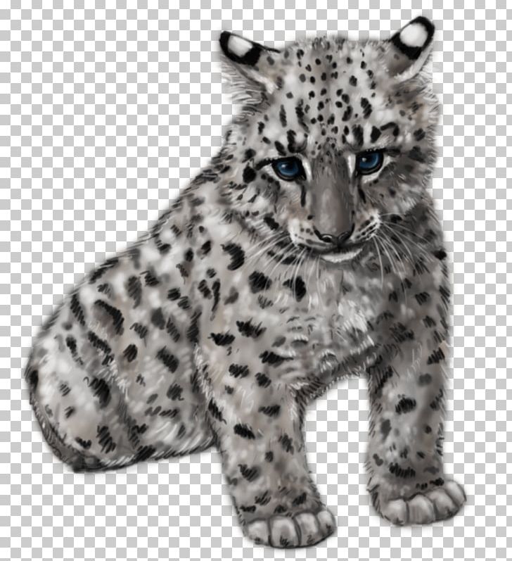 Tiger Snow Leopard Felidae Amur Leopard Drawing PNG, Clipart, Amur Leopard, Animal, Animals, Big Cat, Big Cats Free PNG Download