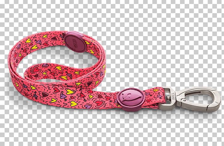 Leash Dog Collar Cat Dog Collar PNG, Clipart, Carabiner, Cat, Clothing Accessories, Collar, Color Invaders Free PNG Download