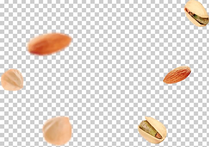 Nut Commodity PNG, Clipart, Commodity, Miscellaneous, Nut, Nuts Seeds, Others Free PNG Download