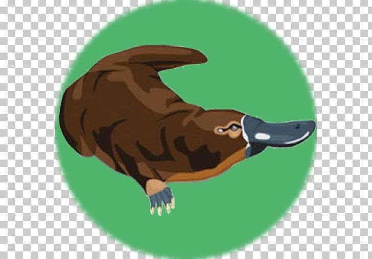 Platypus Beak Beaver Duck Otter PNG, Clipart, Android, Animals, Apk, Beak, Beaver Free PNG Download