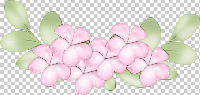 Cut Flowers Petal Flower Lilac / M Lilac M PNG, Clipart, Biology, Cut Flowers, Flower, Lilac M, Paint Free PNG Download