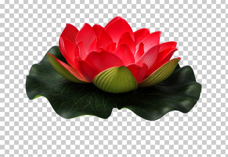 Flower Nelumbo Nucifera PNG, Clipart, Aquatic Plant, Color, Encapsulated Postscript, Flower, Flower Bouquet Free PNG Download