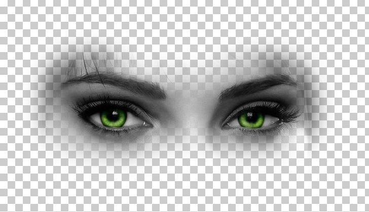 Iris Eyebrow Face Red-eye Effect PNG, Clipart, Amblyopia, Beauty, Closeup, Eye, Eyebrow Free PNG Download