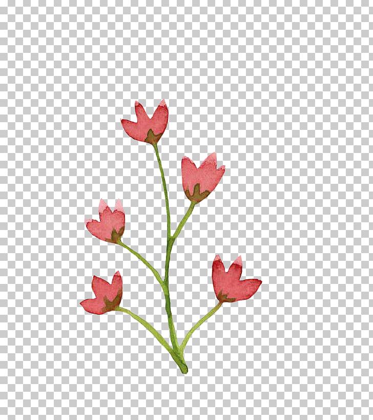Son Leaf PNG, Clipart, Art, Bud, Cut Flowers, Existence, Flora Free PNG Download