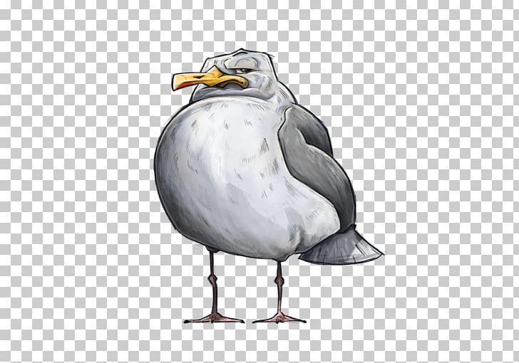 European Herring Gull Gulls Goose Bird Cygnini PNG, Clipart, American Herring Gull, Animals, Beak, Bird, Charadriiformes Free PNG Download