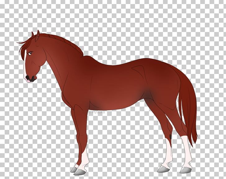 Horse Stallion Mare PNG, Clipart, Animals, Bridle, Colt, Drawing, Filly Free PNG Download