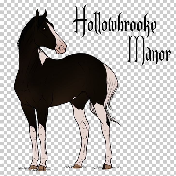Mustang Stallion Foal Mare Colt PNG, Clipart, Colt, Foal, Halter, Horse, Horse Like Mammal Free PNG Download