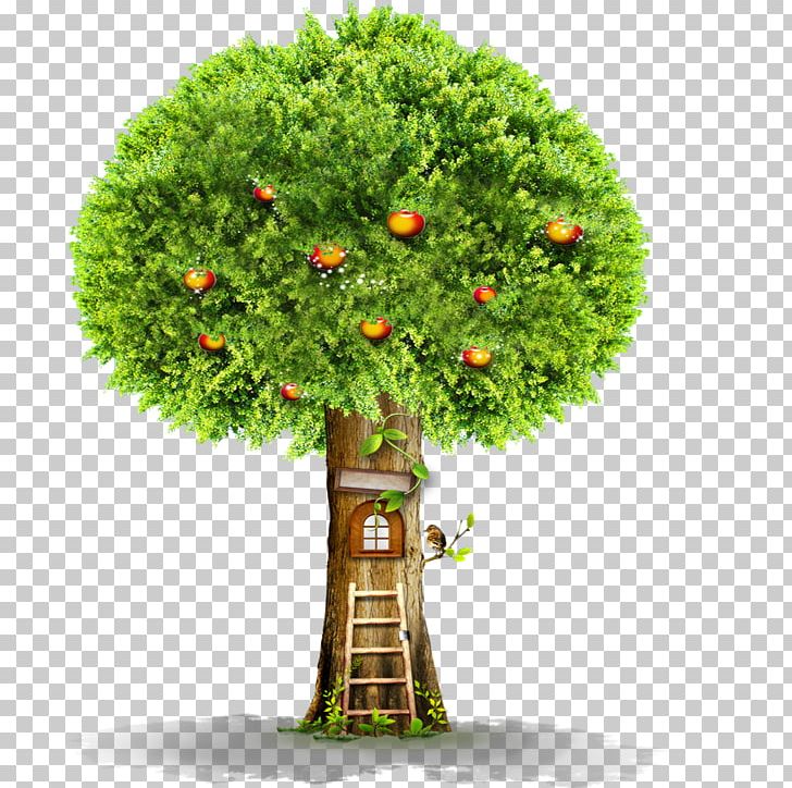 Tree Window Ladder PNG, Clipart, Apple, Apple Fruit, Apple Tree, Autumn Tree, Bird Free PNG Download