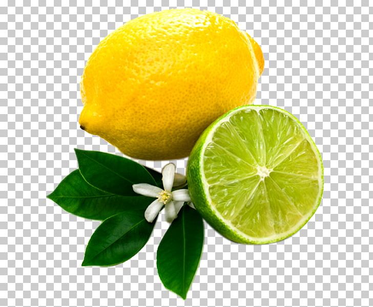 Lemon Key Lime Juice Photography PNG, Clipart, Aloysia Citrodora, Bitter Orange, Calamondin, Citric Acid, Citron Free PNG Download
