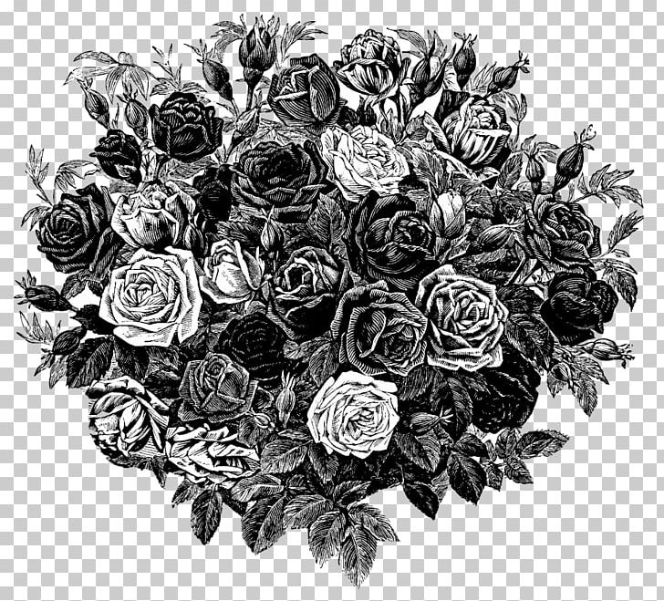 Monochrome Photography Flower Drawing Acarospora PNG, Clipart, Black And White, Cut Flowers, Decoupage, Flo, Flora Free PNG Download