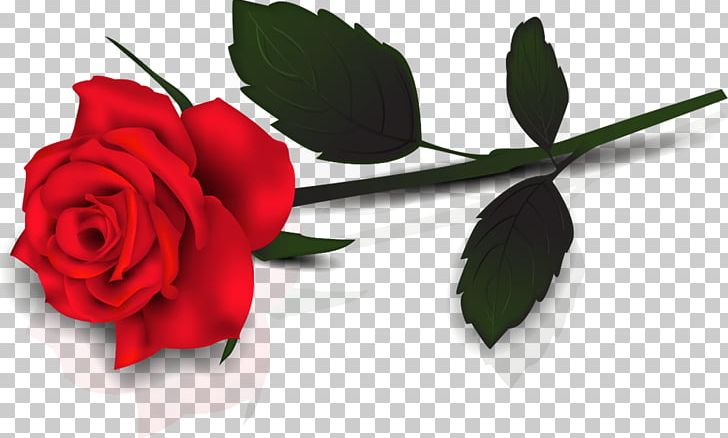 Valentine's Day Computer Icons Rose PNG, Clipart, Cut Flowers, February 14, Flora, Floral Design, Floribunda Free PNG Download