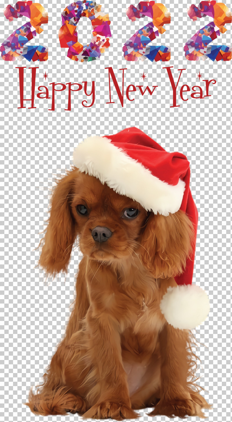 Happy New Year 2022 2022 New Year 2022 PNG, Clipart, Biology, Breed, Cavalier King Charles Spaniel, Companion Dog, Crossbreed Free PNG Download
