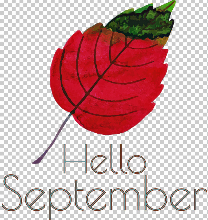 Hello September September PNG, Clipart, Biology, Flower, Fruit, Hello September, Leaf Free PNG Download