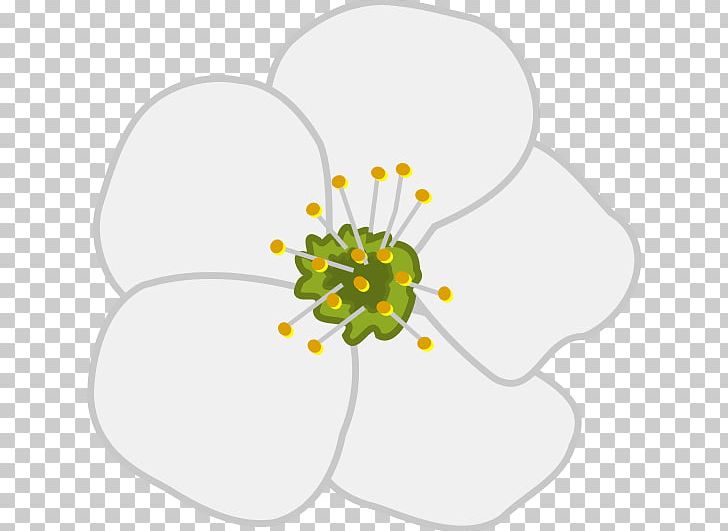 Apple Pencil Flower Cherry Blossom PNG, Clipart, Apple, Apple Pencil, Area, Artwork, Blossom Free PNG Download