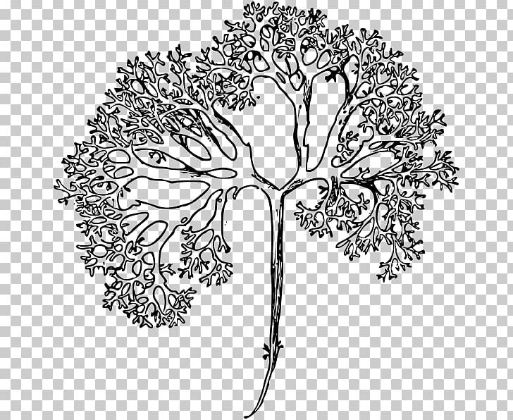 Floral Design Twig Drawing Cut Flowers PNG, Clipart, Area, Art, Artwork, Black And White, Branch Free PNG Download