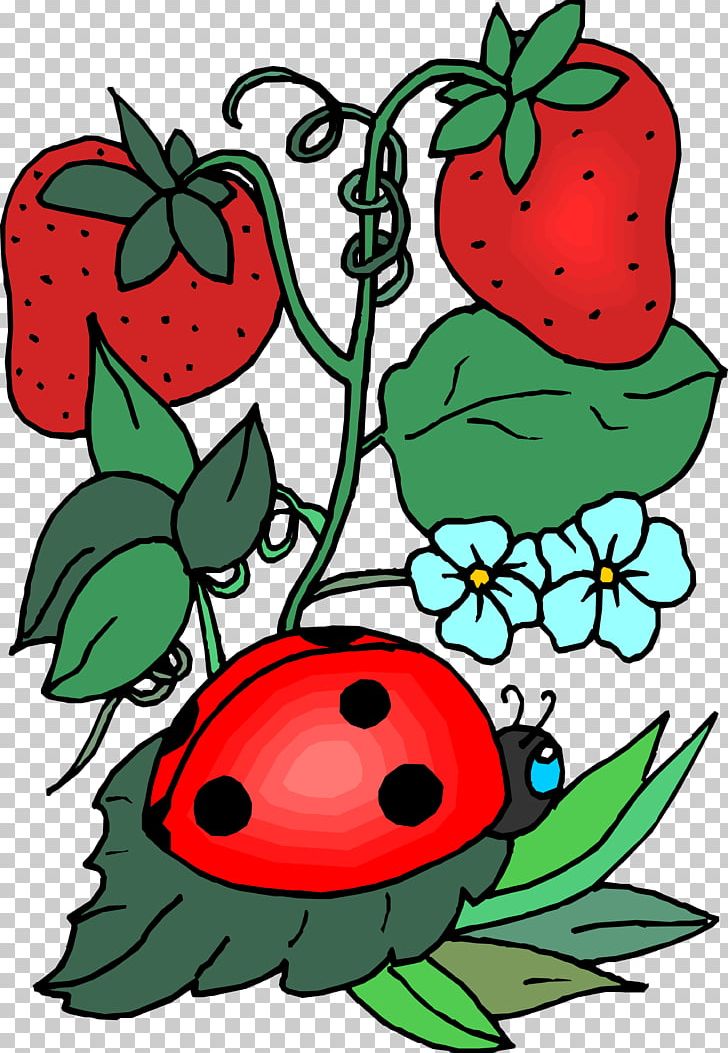Insect Ladybird Bee PNG, Clipart, Animals, Apple, Artwork, Bee, Computer Icons Free PNG Download