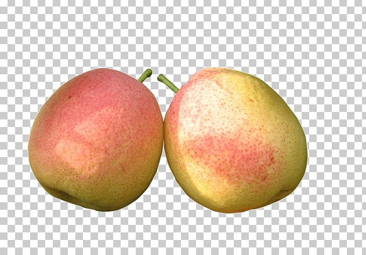Pear Fruit Food Vegetable PNG, Clipart, Adobe Illustrator, Apple, Apple Fruit, Download, Encapsulated Postscript Free PNG Download