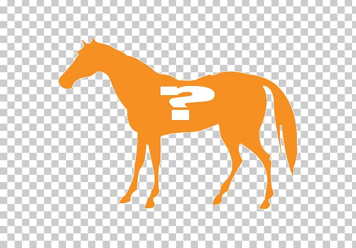 Arabian Horse Mustang Andalusian Horse Mare Morgan Horse PNG, Clipart, Andalusian Horse, Animal, Arabian Horse, Bridle, Colt Free PNG Download