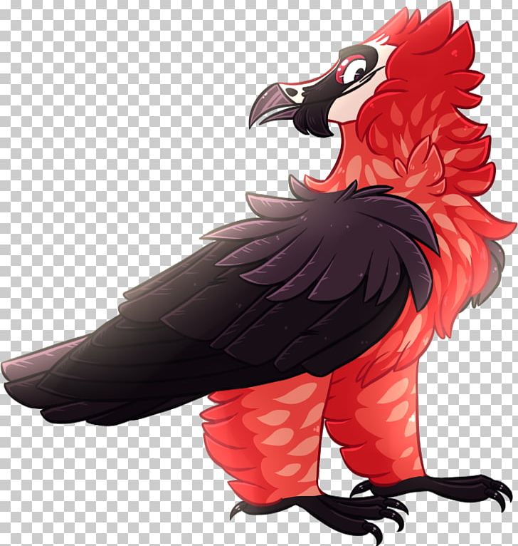 Beak Bird Of Prey Feather Illustration PNG, Clipart, Animals, Beak, Bearded Vulture, Bird, Bird Of Prey Free PNG Download