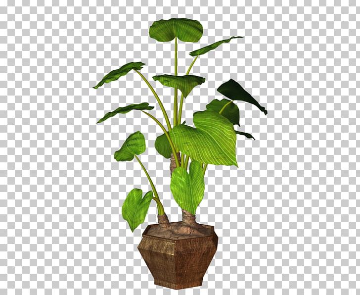 Flowerpot Houseplant Rock PNG, Clipart, Branch, Cactaceae, Clip Art, Flower, Flowerpot Free PNG Download