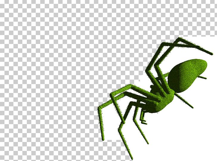 Insect Line Pest PNG, Clipart, Animals, Arthropod, Great War, Insect, Invertebrate Free PNG Download