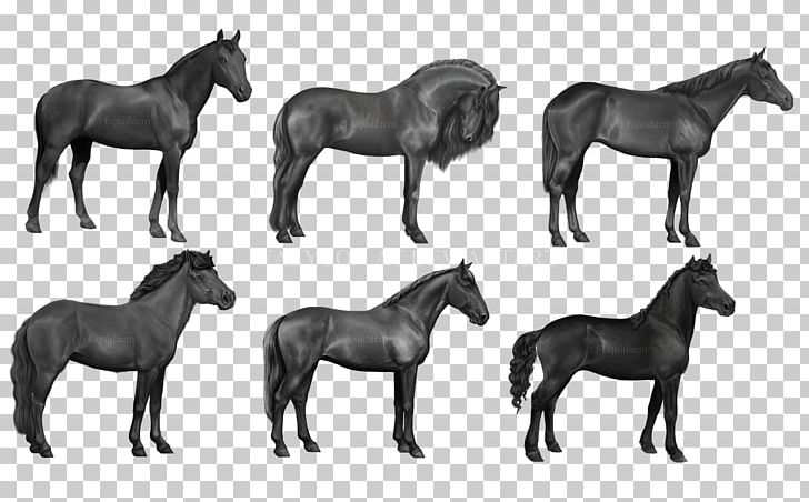 Mustang Foal Mare Stallion Bridle PNG, Clipart, Animal, Animal Figure, Black, Black And White, Breed Free PNG Download
