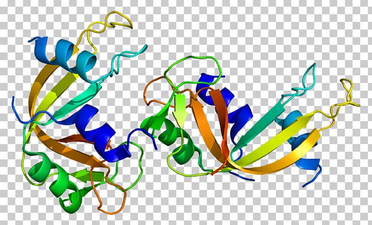 Bovine Pancreatic Ribonuclease RNASE1 Ribonuclease P PNG, Clipart, Area, Art, Artwork, Bovine Pancreatic Ribonuclease, Enzyme Free PNG Download