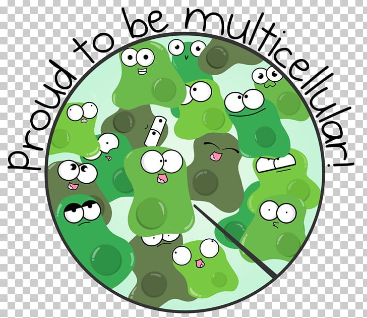 Cartoon Amoeba Multicellular Organism Drawing PNG, Clipart, Amoeba, Amphibian, Animation, Area, Biology Free PNG Download