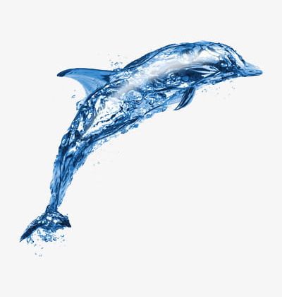 Water Dolphins PNG, Clipart, Biological, Dolphins Clipart, Drop, Ocean, Water Clipart Free PNG Download