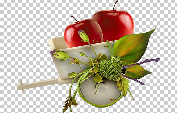 Apple Auglis PNG, Clipart, Apple, Apple Fruit, Apple Logo, Apple Tree, Auglis Free PNG Download