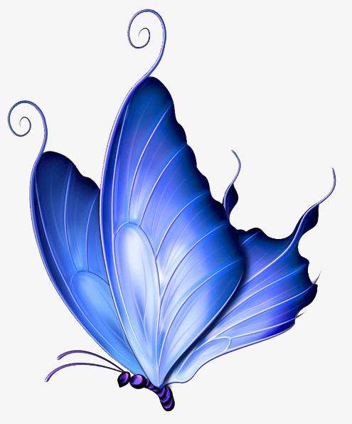 Blue Butterfly PNG, Clipart, Animal, Blue, Blue Clipart, Butterfly, Butterfly Clipart Free PNG Download