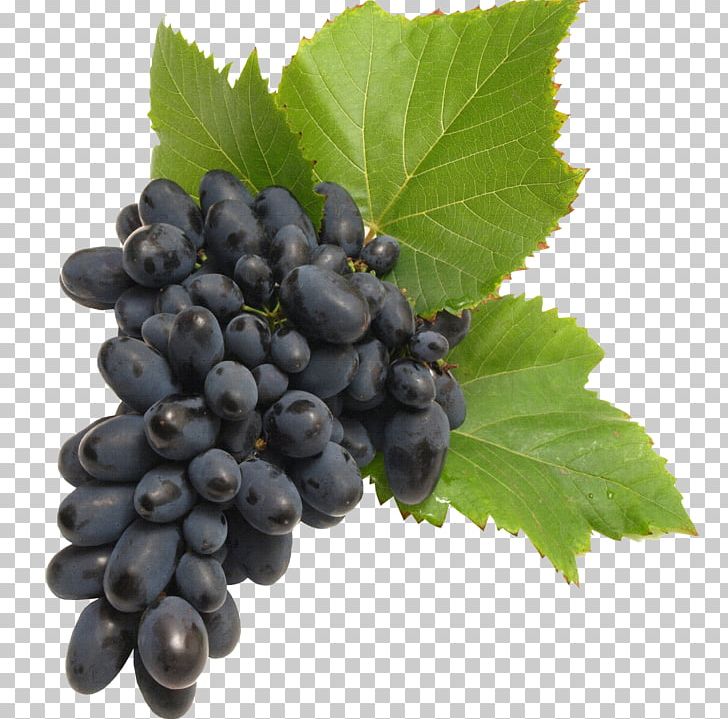 Common Grape Vine Winemaking PNG, Clipart, Amazon Grape, Berry, Bilberry, Blackberry, Blueberry Free PNG Download