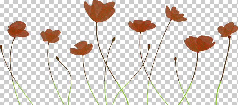 Poppy Flower PNG, Clipart, Flower, Leaf, Pedicel, Plant, Plant Stem Free PNG Download