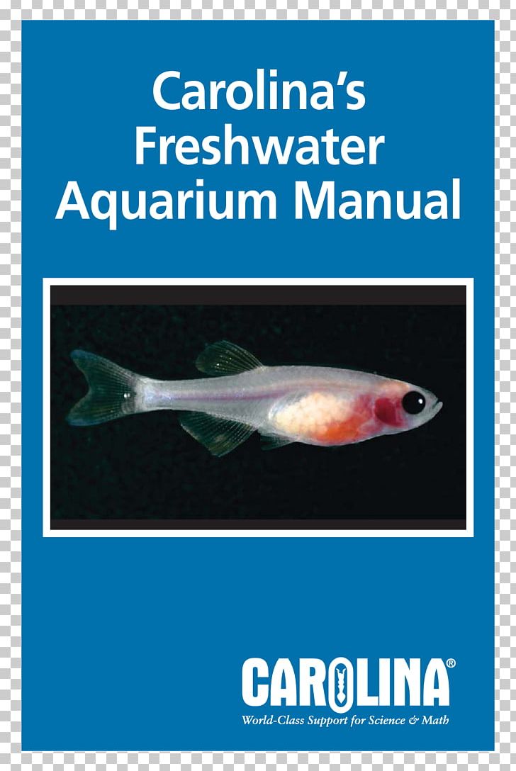Aquarium Goldfish Aquatic Plants Tetra PNG, Clipart, Advertising, Animals, Aquadom, Aquarium, Aquarium Filters Free PNG Download