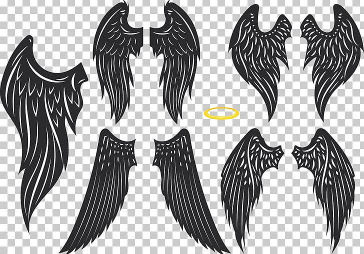 Bird Wing PNG, Clipart, Angel Wing, Angel Wings, Angle, Black, Black And White Free PNG Download