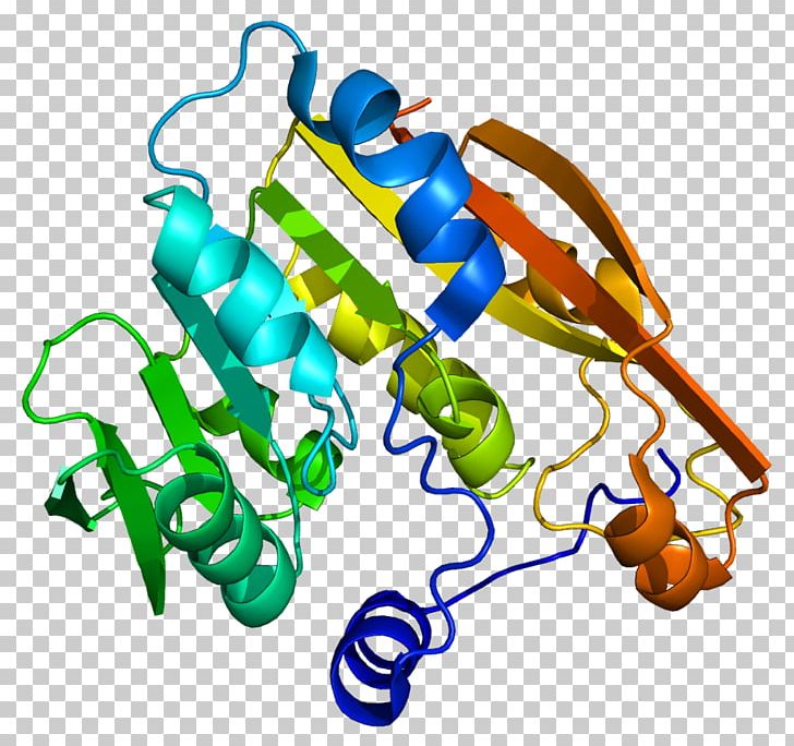 Thiopurine Methyltransferase Pharmacogenetics Mercaptopurine PNG, Clipart, Area, Enzyme, Gene, Line, Mercaptopurine Free PNG Download