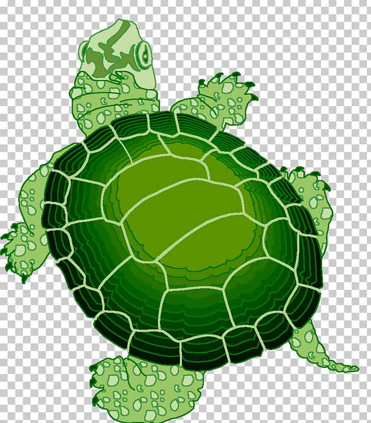 Turtle Reptile Animaatio PNG, Clipart, Animaatio, Animal, Animals, Animated Film, Art Free PNG Download