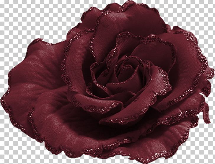 Black Rose Stock Photography PNG, Clipart, Accessories, Blue, Blue Rose, Cut Flowers, Decoration Free PNG Download