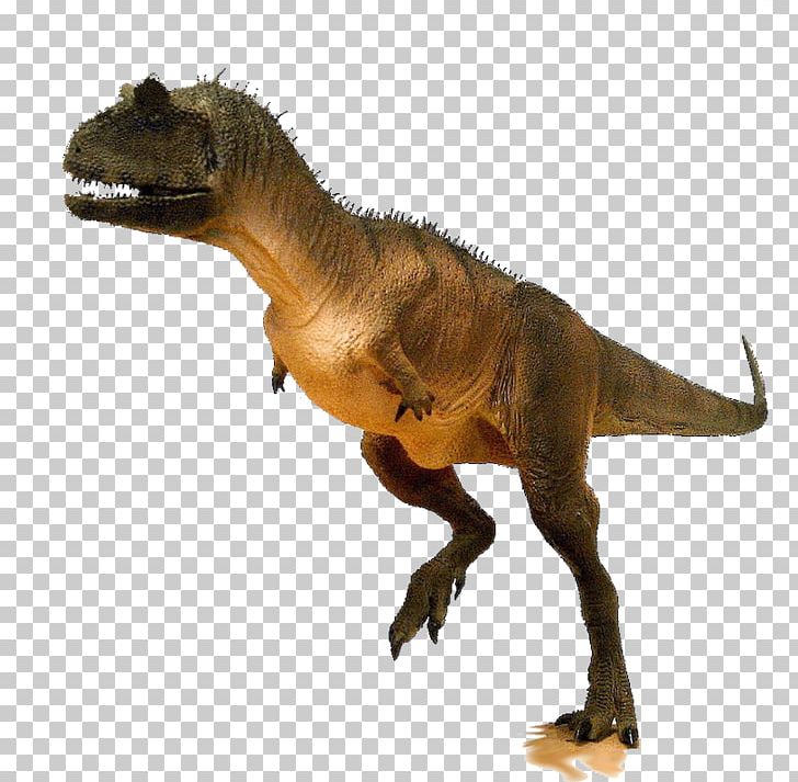 Tyrannosaurus Carnotaurus Ankylosaurus Spinosaurus Dinosaur King PNG, Clipart, Acrocanthosaurus, Allosaurus, Animal Figure, Ankylosaurus, Argentinosaurus Free PNG Download
