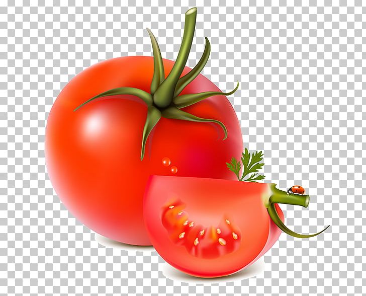 Vegetable Tomato PNG, Clipart, Bush Tomato, Diet Food, Download, Encapsulated Postscript, Food Free PNG Download
