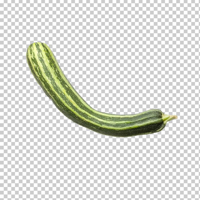 Fermented Cucumbers Cucumber Armenian Cucumber Melon Cucurbits PNG, Clipart, Armenian Cucumber, Commodity, Cucumber, Cucumis, Cucurbits Free PNG Download