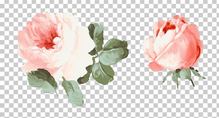 Cut Flowers Gouache Beach Rose PNG, Clipart, Artificial Flower, Carnation, Floral Design, Floristry, Flower Free PNG Download